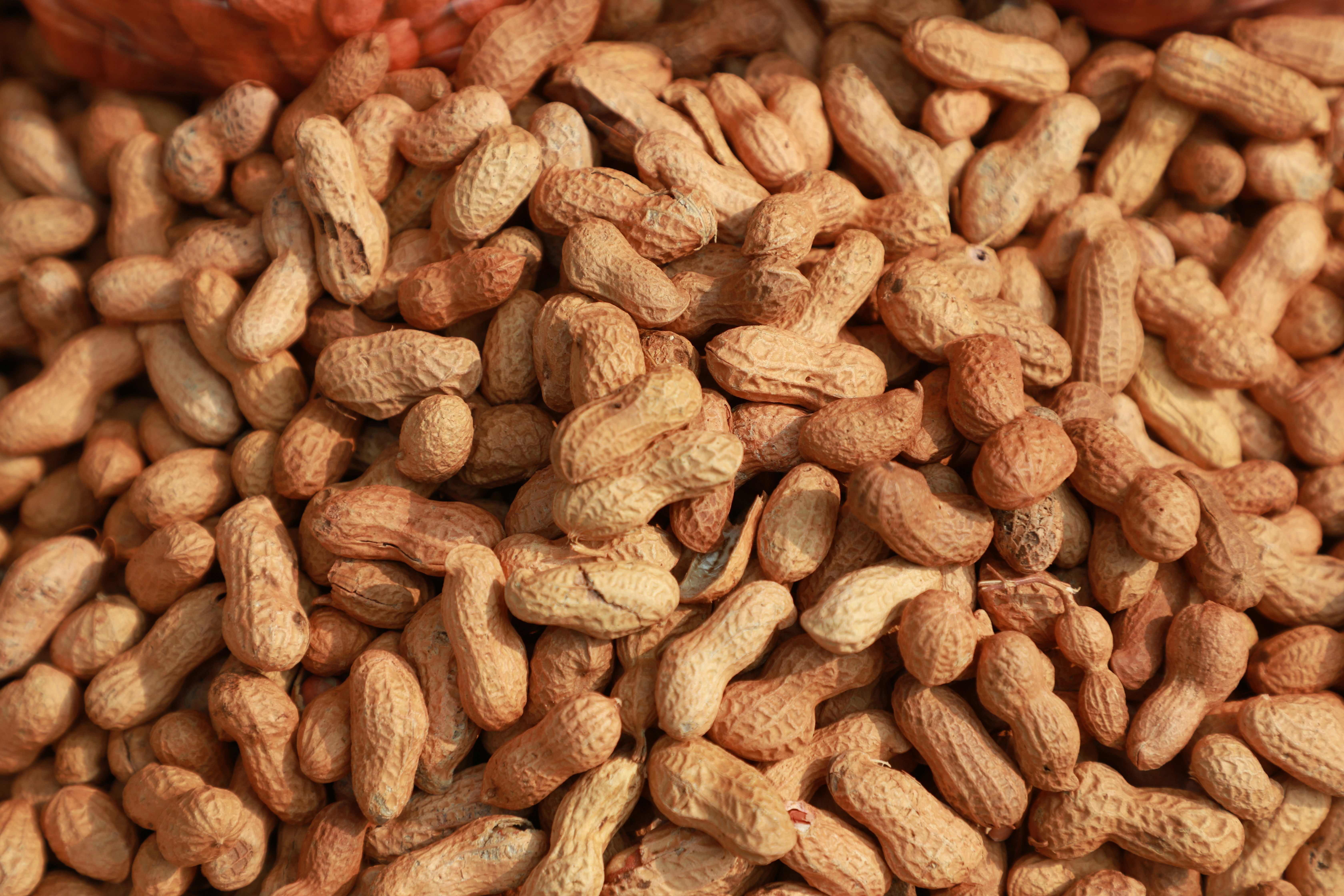 Peanuts (Groundnuts)