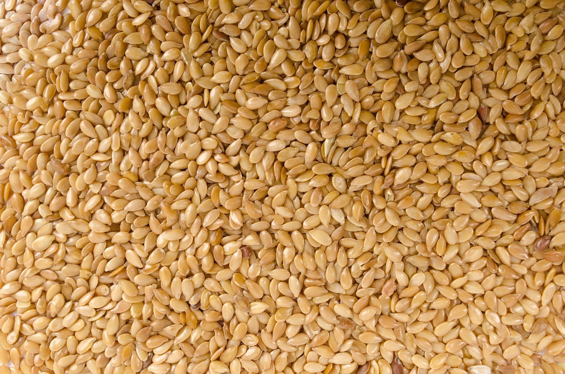 Sesame Seeds