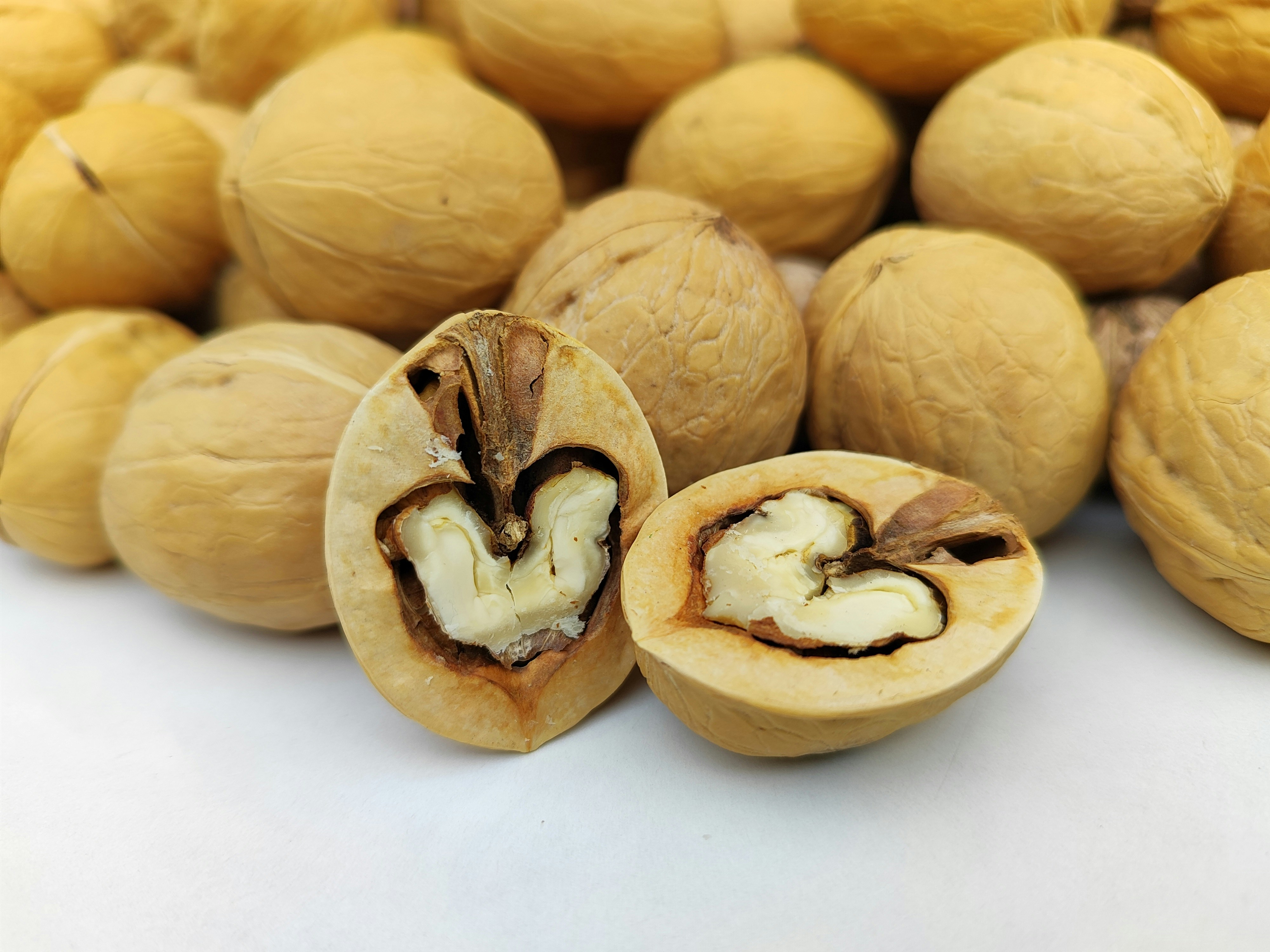 Shea Nuts